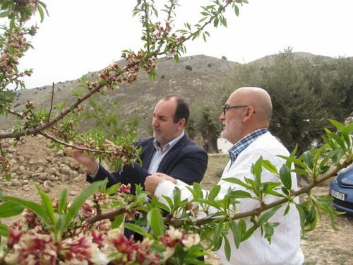 La almendra es el décimo producto más exportado por Almería en los dos primeros meses del año