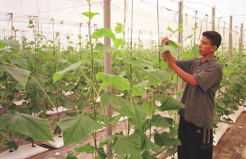 COAG Andalucía valora que el sector agrario se consolide como pilar económico y de empleo en la Comunidad