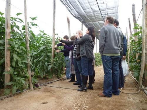 La Junta celebra un curso en La Mojonera sobre patógenos de suelo y métodos de control en horticultura protegida
