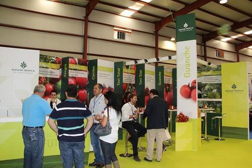Zeraim Ibérica presenta en Expolevante Guanche, el ramo con el que completa su gama líder en tomate