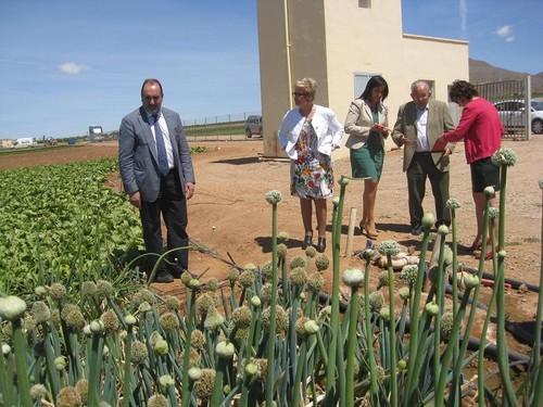 Almería registra en abril 49.000 afiliados en el sector agrario de la Seguridad Social, 1.000 más que hace un año