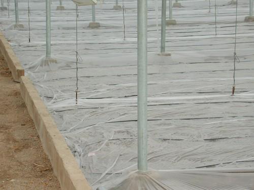 Autorizados de forma provisional los formulados que contengan 1,3 dicloropropeno para la desinfección de suelos hortícolas