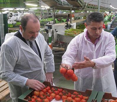 La Junta de Andalucía gestiona ayudas de 44,5 millones de Fondos Operativos para cuarenta OPFH de Almería