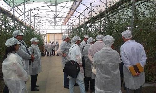 EXTENDA organiza más de 300 entrevistas entre empresas internacionales y empresas andaluzas en Almería
