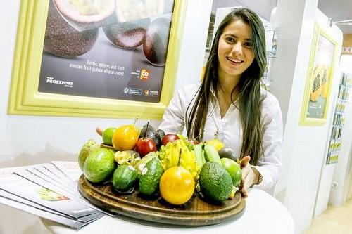 Fruit Logistica estrena página web en español, coincidiendo con la apertura del período de inscripción
