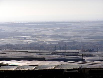 Durante el primer cuatrimestre de 2014 se han solicitado más  licencias para invernaderos en El Ejido que en todo el año 2012