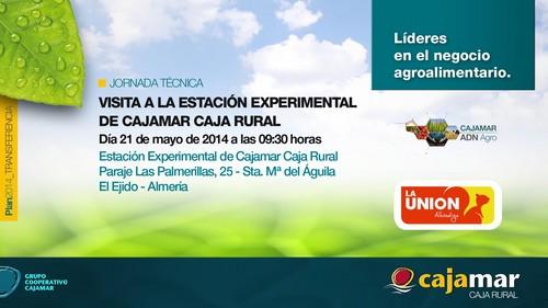 Cajamar y Alhóndiga La Unión organizan una jornada de transferencia este miércoles
