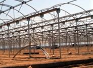 La Junta de Andalucía publica el plan de modernización de estructuras agrarias