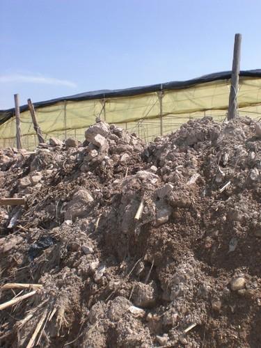 El Ministerio analiza con SAECA y Agroseguro los avances de la medida de fraccionamiento de pago en las pólizas del seguro agrario