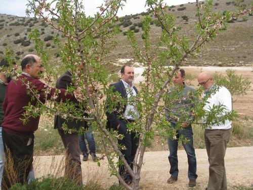Más de 9.000 agricultores y ganaderos de Almería presentan solicitudes de ayuda de la PAC para el año 2014
