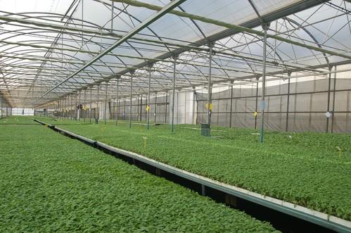 Representantes de la cadena alimentaria  piden soluciones para la ausencia de tratamientos para las plantas