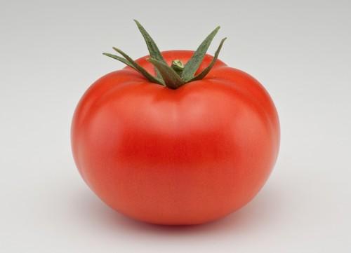 La marca Nunhems®  consigue con Potential F1* el primer tomate larga vida con frutos de gran tamaño durante todo el ciclo
