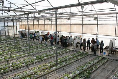 La Junta de Andalucía imparte un curso sobre fertirrigación y medio ambiente en horticultura
