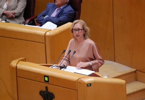 El PSOE denuncia que la Ley de Representatividad Agraria nace sin consenso y que es un pago de favores del PP