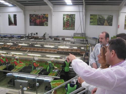 El día 14 finaliza el plazo abierto por la Junta para solicitar ayudas para transformar y comercializar productos agrícolas