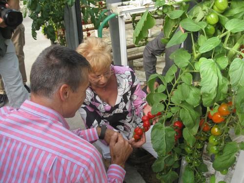 Víboras anuncia que agricultores y ganaderos andaluces recibirán 10 millones de ayudas directas antes del 30 de junio