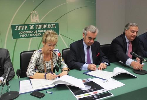 Más de 1.500 productos agroalimentarios andaluces se promocionarán en grandes superficies de la Comunidad