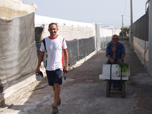 Andalucía tramita un incremento de las ayudas que fomentan el relevo generacional