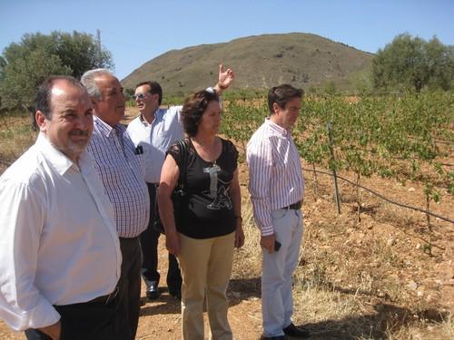 La Junta estudia las ayudas y la financiación para reconstituir los cultivos dañados por el granizo en Laujar de Andarax