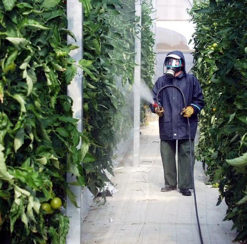 La Junta de Andalucía celebrará en Oria un curso básico de aplicador de productos fitosanitarios