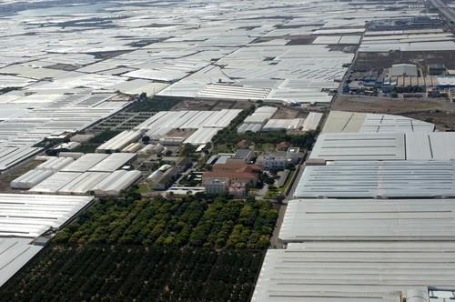 Cajamar incrementa un 65% la financiación de la nueva campaña agrícola