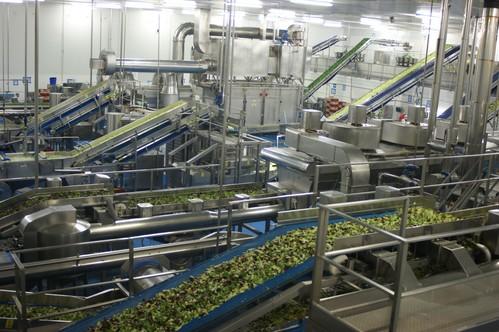 Primaflor amplía en 2.000 metros cuadrados su capacidad de almacenamiento frigorífico