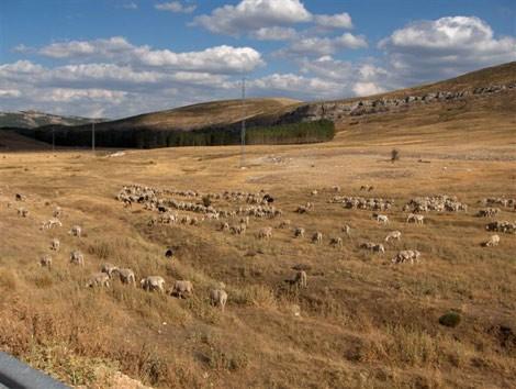 COAG Andalucía exige a la Junta medidas para hacer frente a los efectos de la sequía
