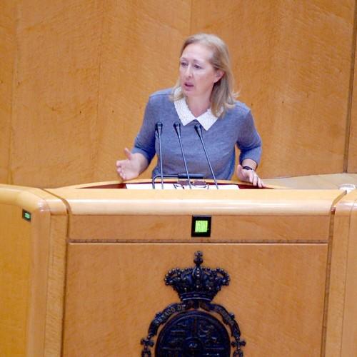 El PSOE pide la comparecencia de la ministra de Agricultura en el Senado y le exige “medidas urgentes y efectivas” frente al veto ruso