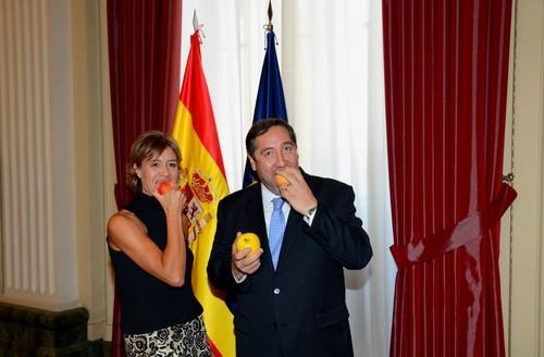 España solicitará a la Comisión la adopción de medidas para cítricos, caqui y granada