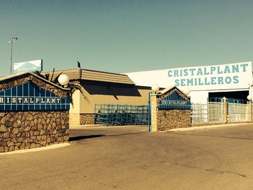 Cristalplant supera las 30 hectáreas con la compra de las instalaciones de Novoplant