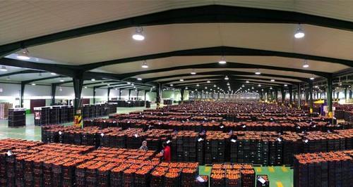 Casi, premio de Agricultura a la Calidad Certificada