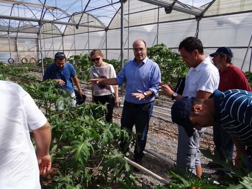La papaya como apuesta de futuro para la diversificación