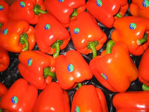 El pimiento California llega a finales de septiembre con precios muy por debajo de su rentabilidad
