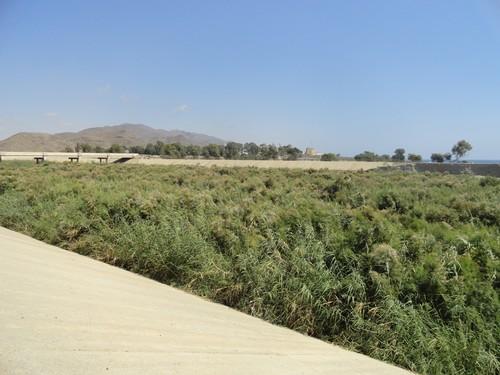 ASAJA reclama la limpieza y el arreglo urgente de la desembocadura del río Almanzora