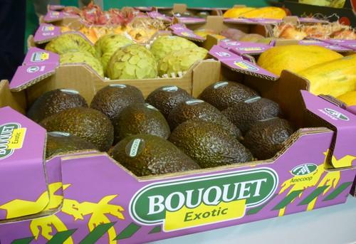 Anecoop planifica la campaña hortofrutícola con sus socios y colaboradores en Almería