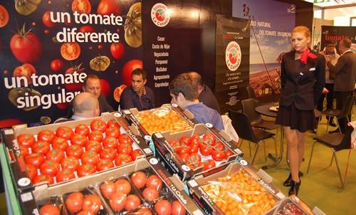 Italia, Polonia, Reino Unido y Alemania se interesan por el primer tomate con Indicación Geográfica Protegida de Europa
