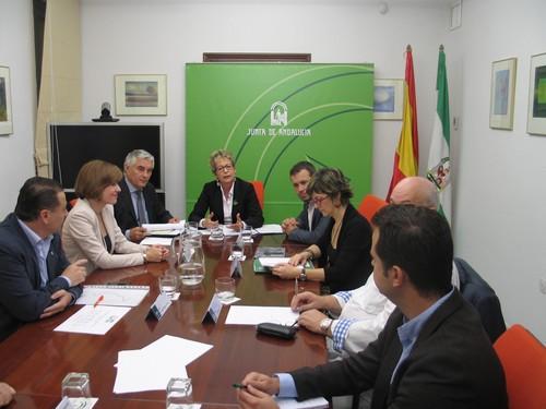 El aforo del olivar 2014-2015 prevé una producción de aceite de 643.000 toneladas en Andalucía