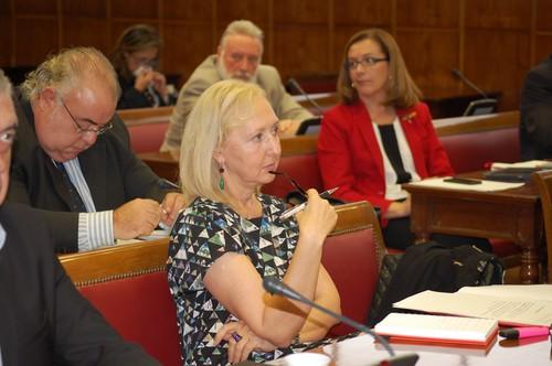 El PSOE reprocha al Gobierno que no ayude a los agricultores afectados por catástrofes naturales en Almería
