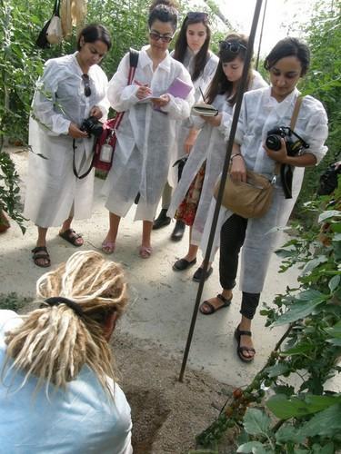 Periodistas británicos visitan esta semana Almería para conocer el sistema productivo hortofrutícola