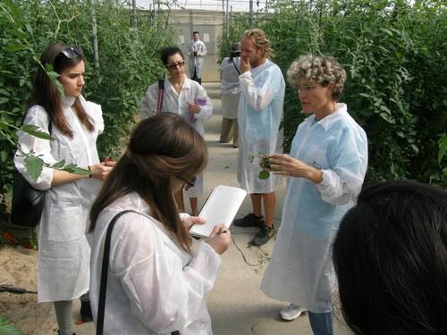Las periodistas británicas comprueban las virtudes del sector hortícola en su visita a la provincia
