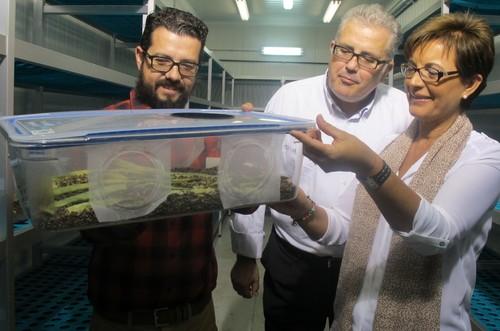 La Junta ofrece a Entonova recursos para seguir innovando en control biológico y ahorrar energía en sus instalaciones