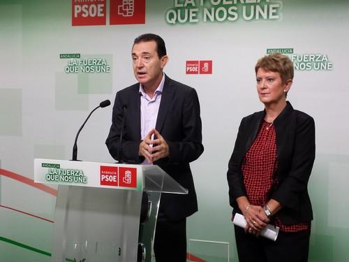 El PSOE pide al Gobierno que incluya una partida de 4,5 millones en los PGE para el túnel al mar de la Balsa del Sapo