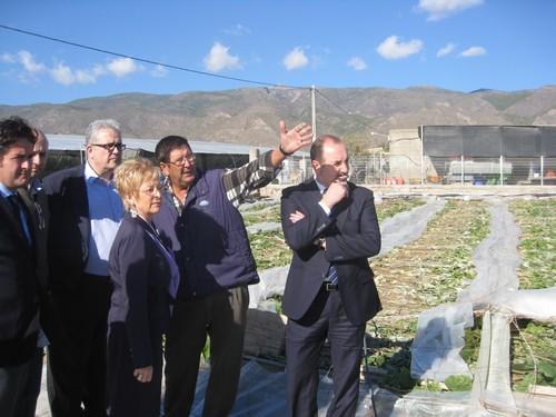 Aumenta el nivel de aseguramiento de cultivos protegidos en Almería en el plan de seguros 2014