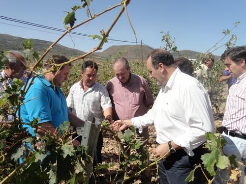 ASAJA lamenta que “no se van a poner medidas de apoyo para los afectados por el granizo de Laujar”