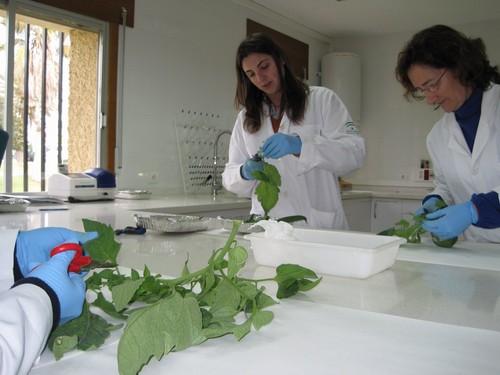La Junta de Andalucía celebra en La Mojonera un curso sobre análisis de suelos, plantas y agua
