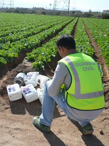 La Guardia Civil desarticula una banda dedicada al robo en explotaciones agrícolas y ganaderas