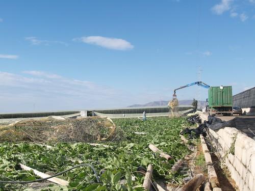 El Ayuntamiento de El Ejido lleva a Pleno el Plan Estratégico de Subvenciones para fincas que hayan sufrido daños por anegación o temporales