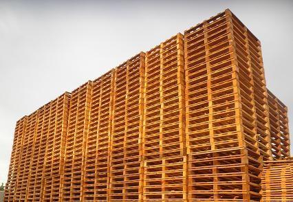 La fabricación y utilización de palets de madera en España creció en 2013