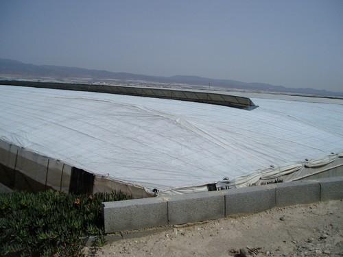 Los agricultores nijareños principales beneficiarios de la bajada de impuestos municipales