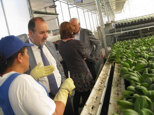 Almería marca un récord histórico en el sector agrario de la Seguridad Social con 53.337 afiliados en noviembre